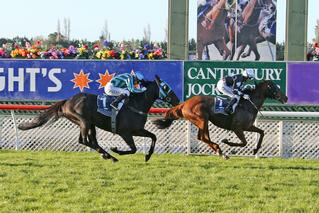 Twoznotenough (NZ) wins the Listed Great Easter Stakes. Photo: Race Images Christchurch